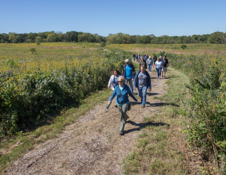 Explore The Morton Arboretum