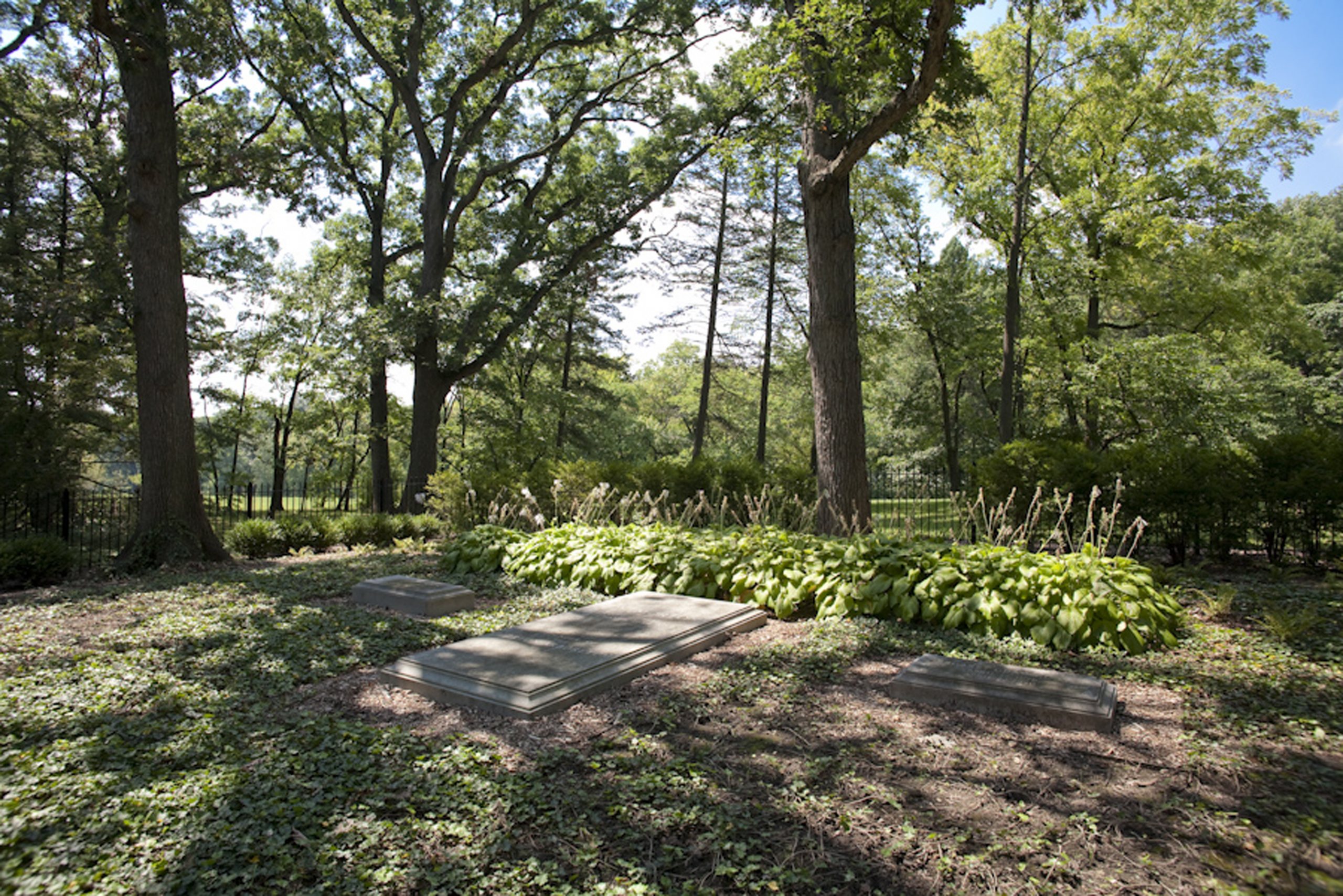 Morton family cemetery in summer