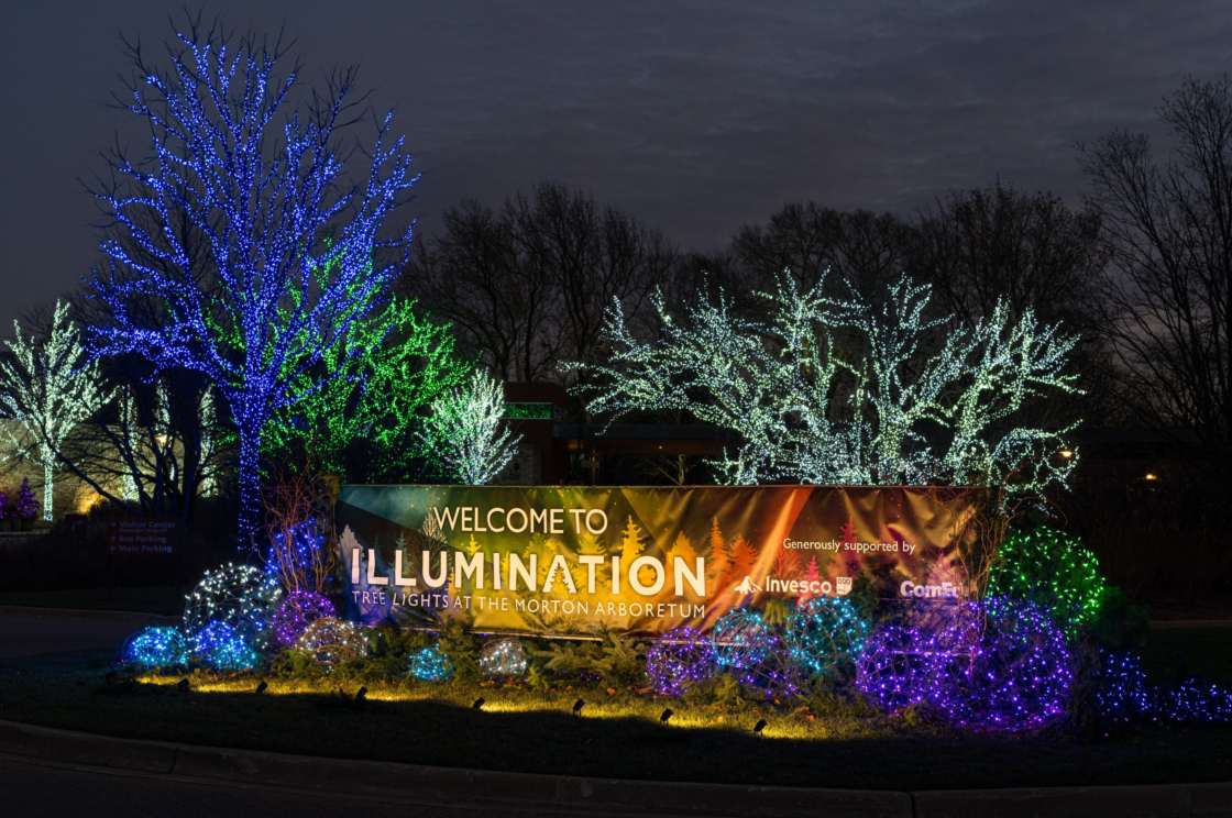 The Morton Arboretum