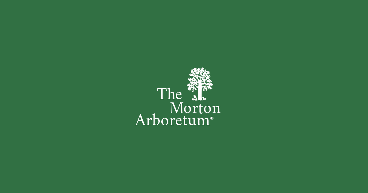 Apple Scab | The Morton Arboretum