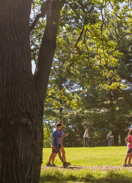 Things To Do The Morton Arboretum