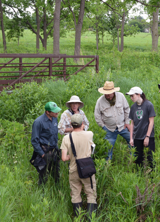 Group gathering in the Prairie
