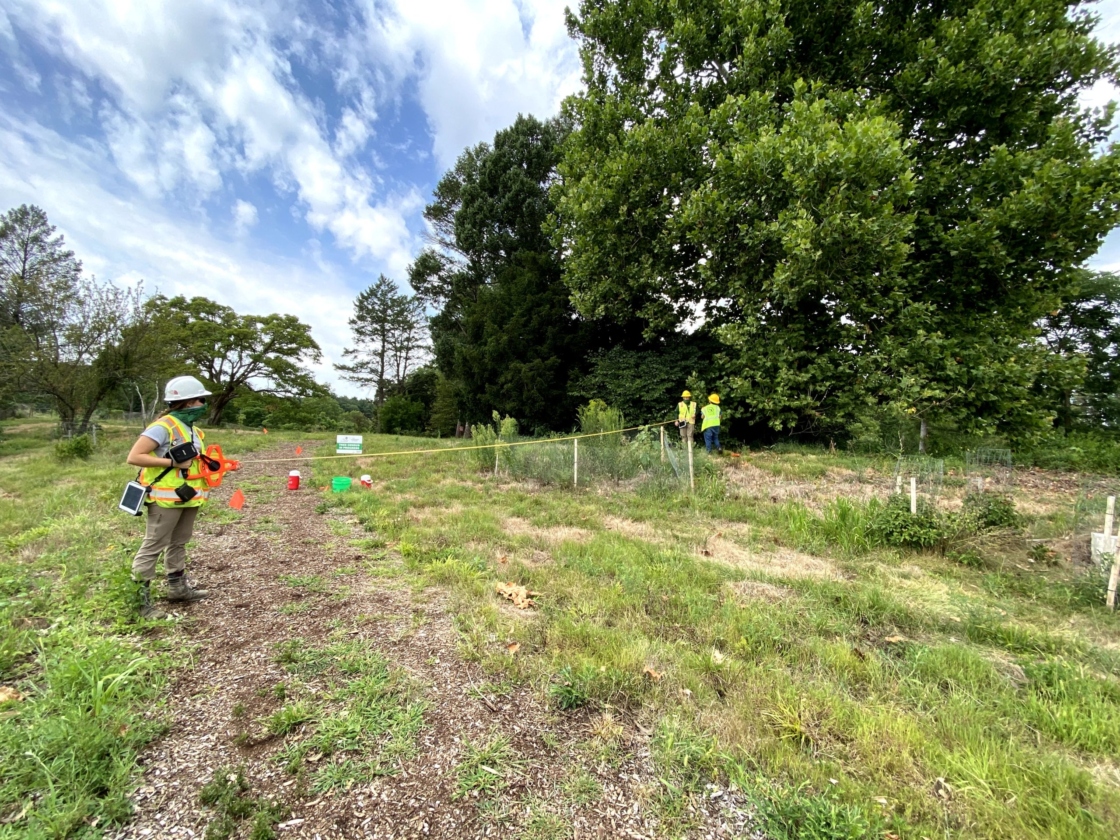 The Morton Arboretum
