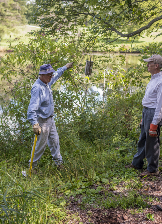 Intro to Ecological Restoration
