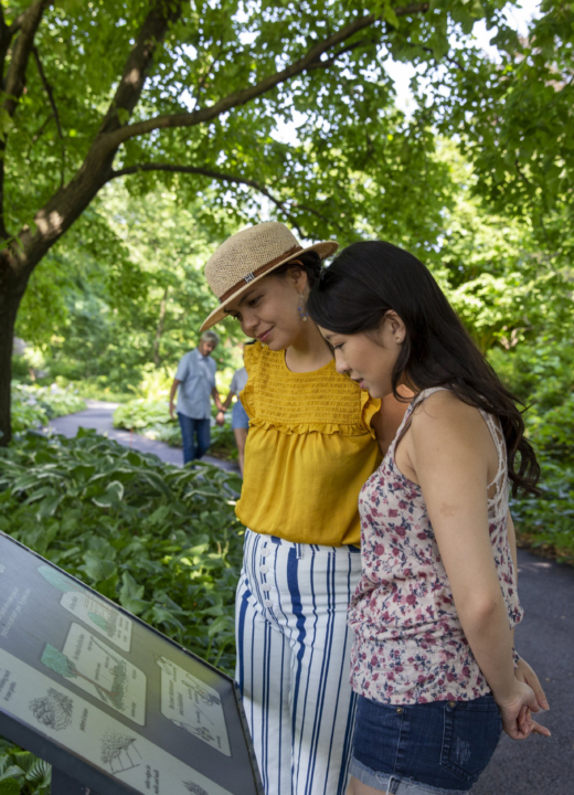 Two women pause to read an educational panel in the Ground Cover Garden.
