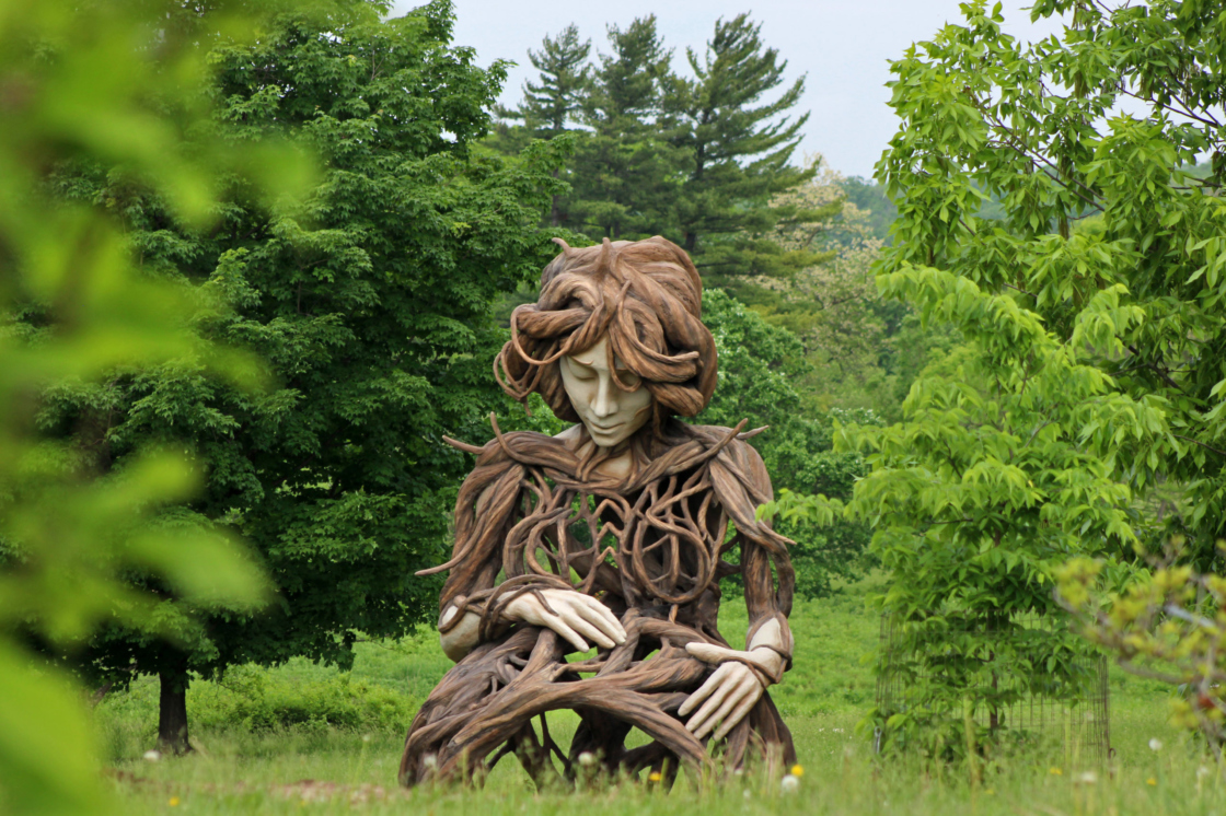 Human+Nature | The Morton Arboretum