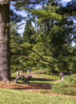 People explore the conifer loop in summer