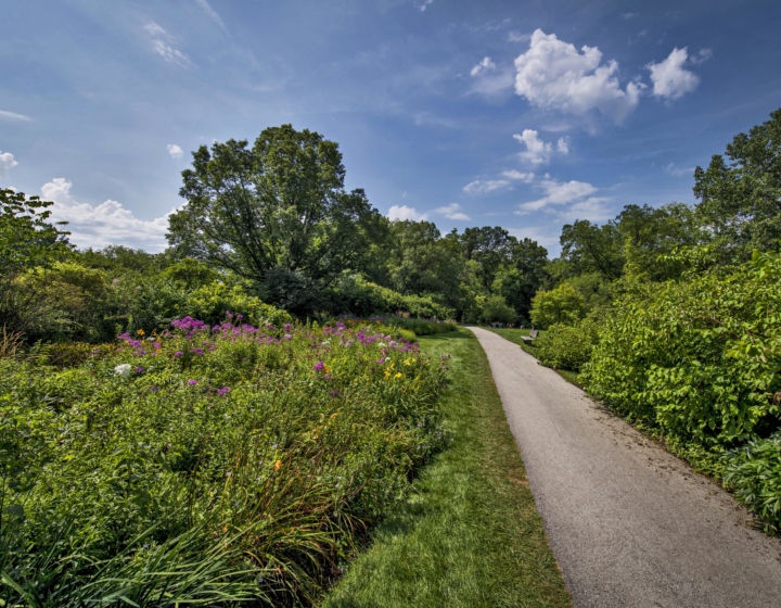Joy path in spring