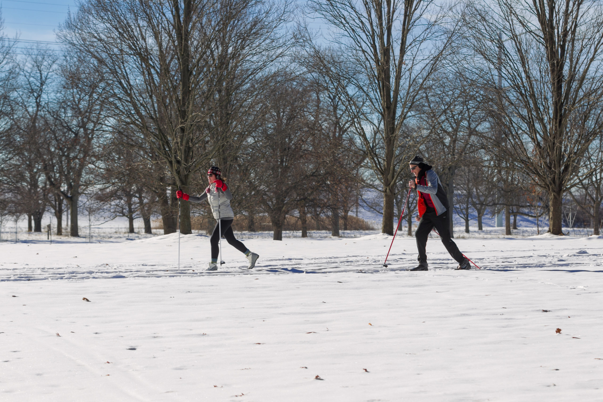 Two adults cross country skiing in an open area surrounded by trees in winter.