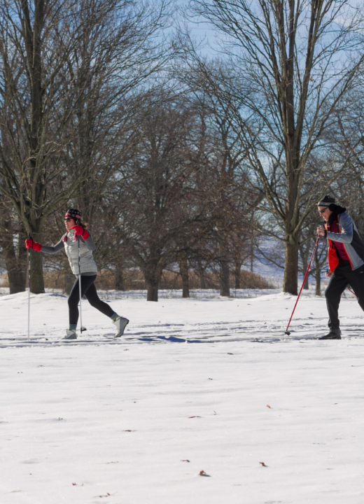 Two adults cross country skiing in an open area surrounded by trees in winter.