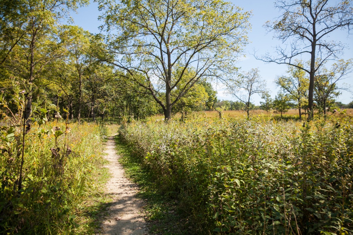 Bring The Kids To Romp At The Arboretum This Fall | The Morton Arboretum