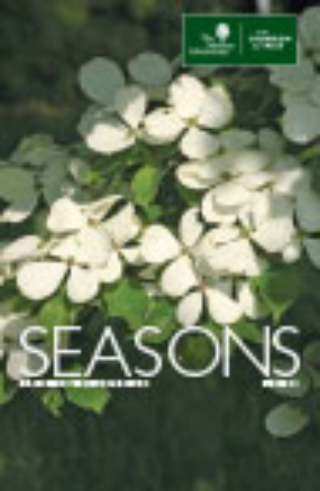 The Morton Arboretum