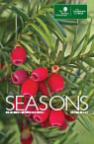 The Morton Arboretum