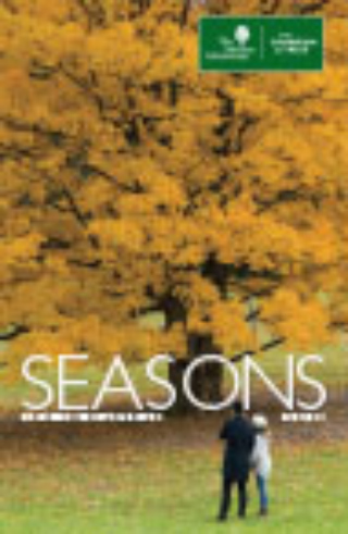 The Morton Arboretum