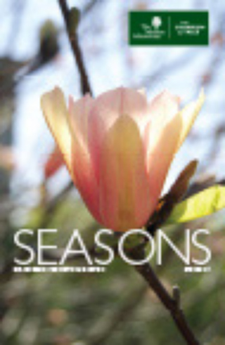 The Morton Arboretum