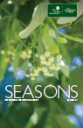 The Morton Arboretum