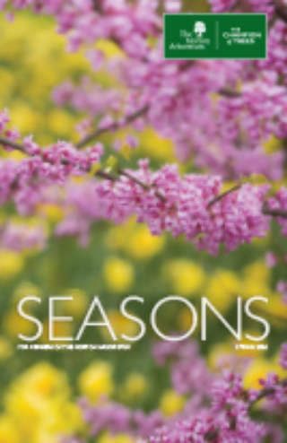 The Morton Arboretum