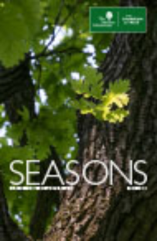 The Morton Arboretum