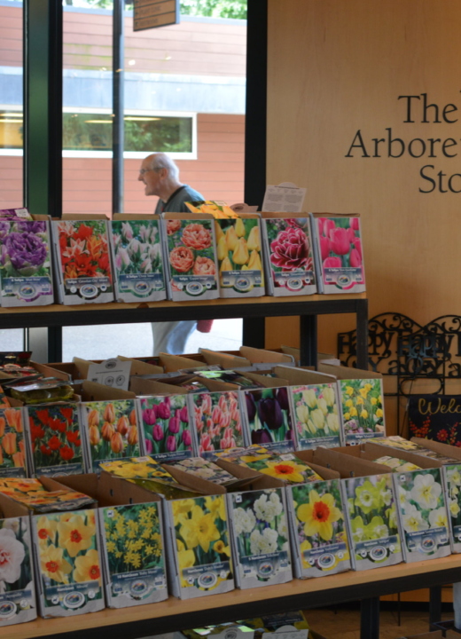 Bulb display at the Arboretum Store