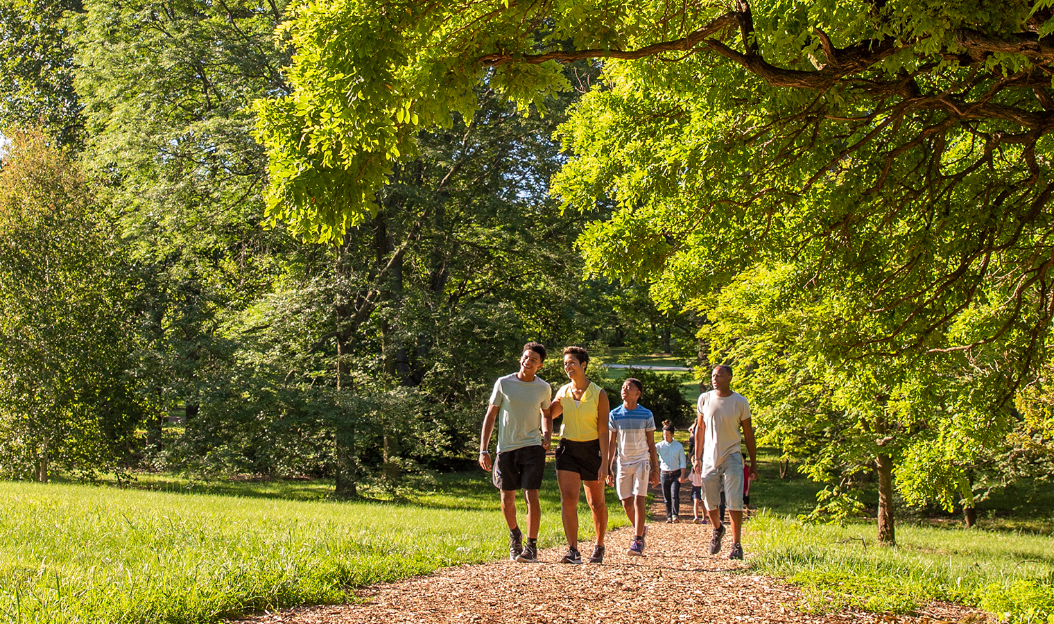 The Morton Arboretum