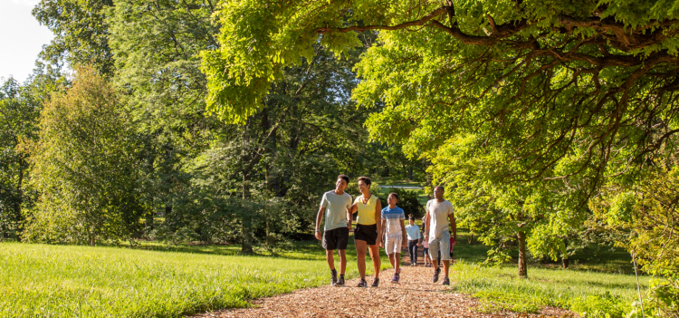 The Morton Arboretum