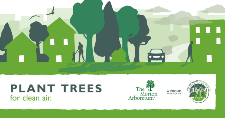 The Morton Arboretum