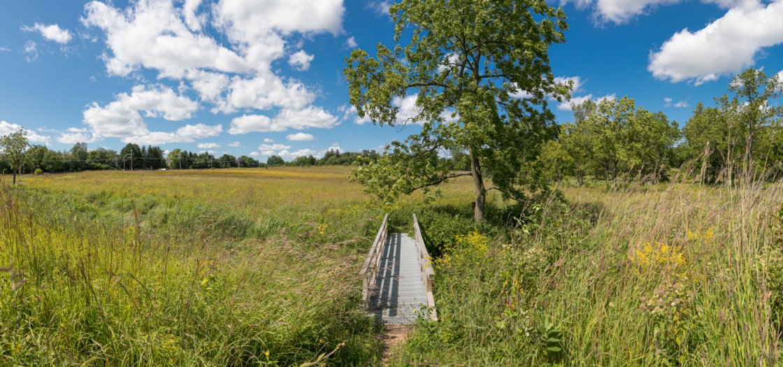 Schulenberg Prairie in the summer