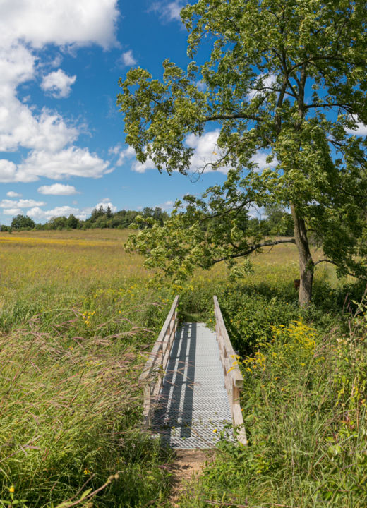 Visit The Arboretum | The Morton Arboretum