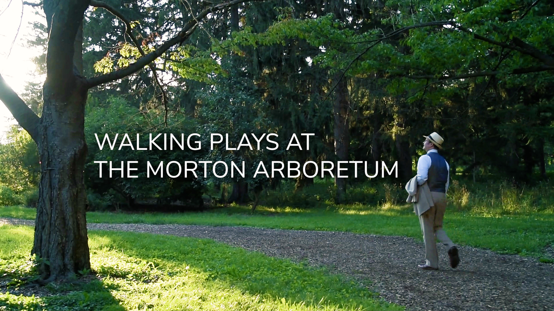 The Morton Arboretum