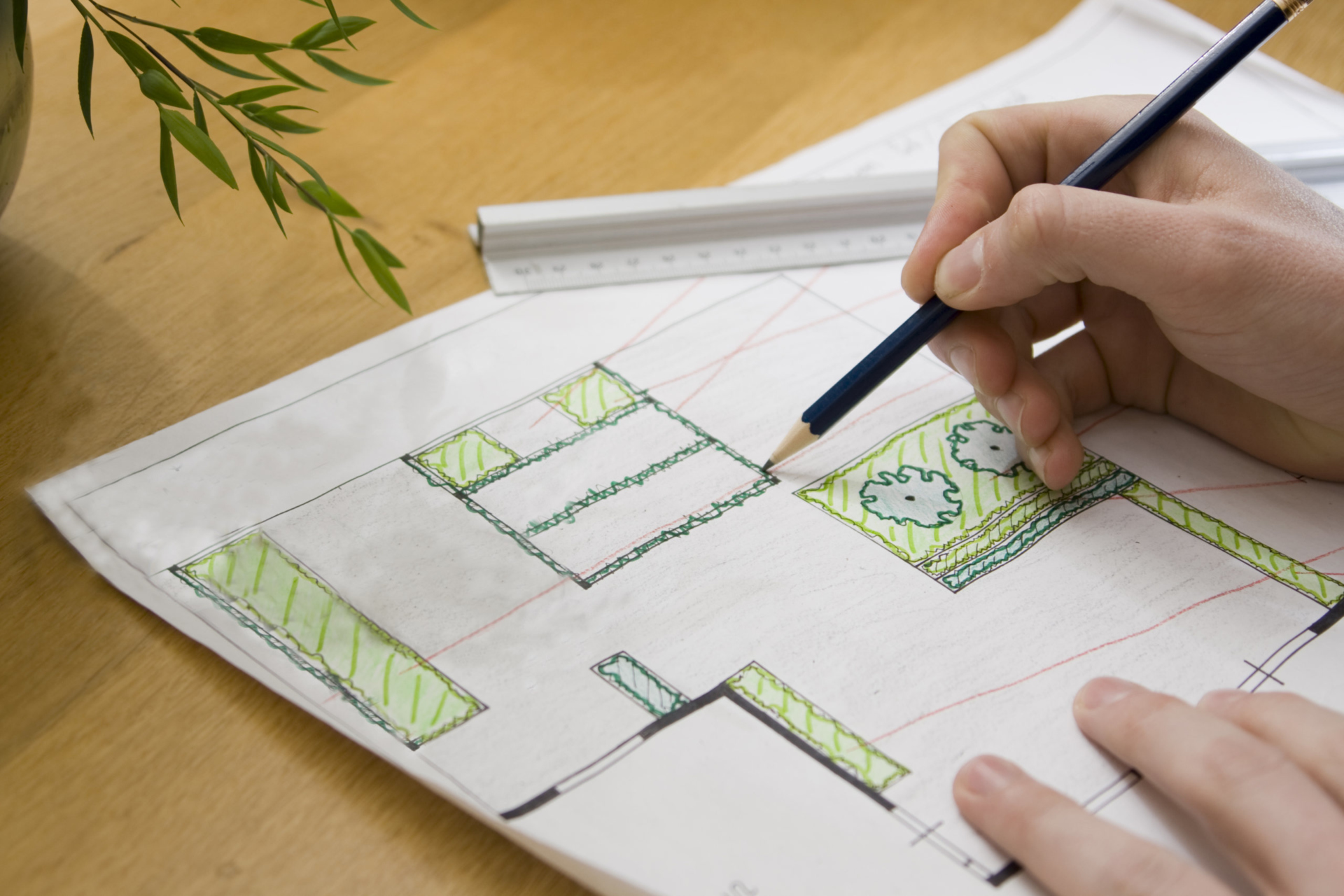 Planning a garden out on paper.