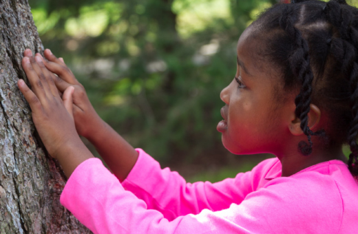 Child touching bark on a tree