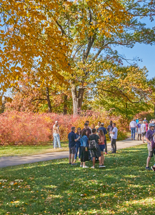 The Morton Arboretum | To Plant And Protect Trees For A Greener ...