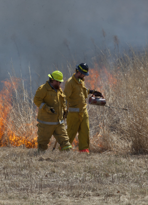 Two workers monitoring a prescribed burn.