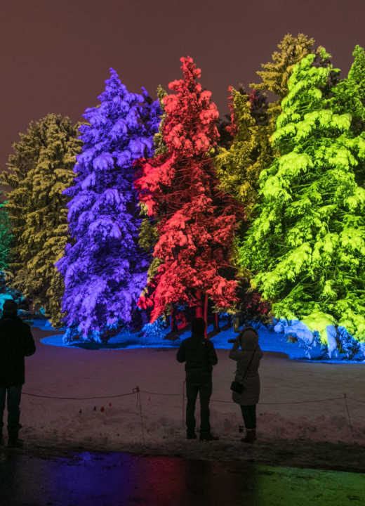 The morton arboretum to plant and protect trees for a greener