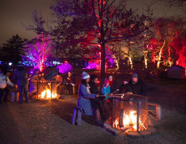 Guests roast marshmallows at a fire during Illumination
