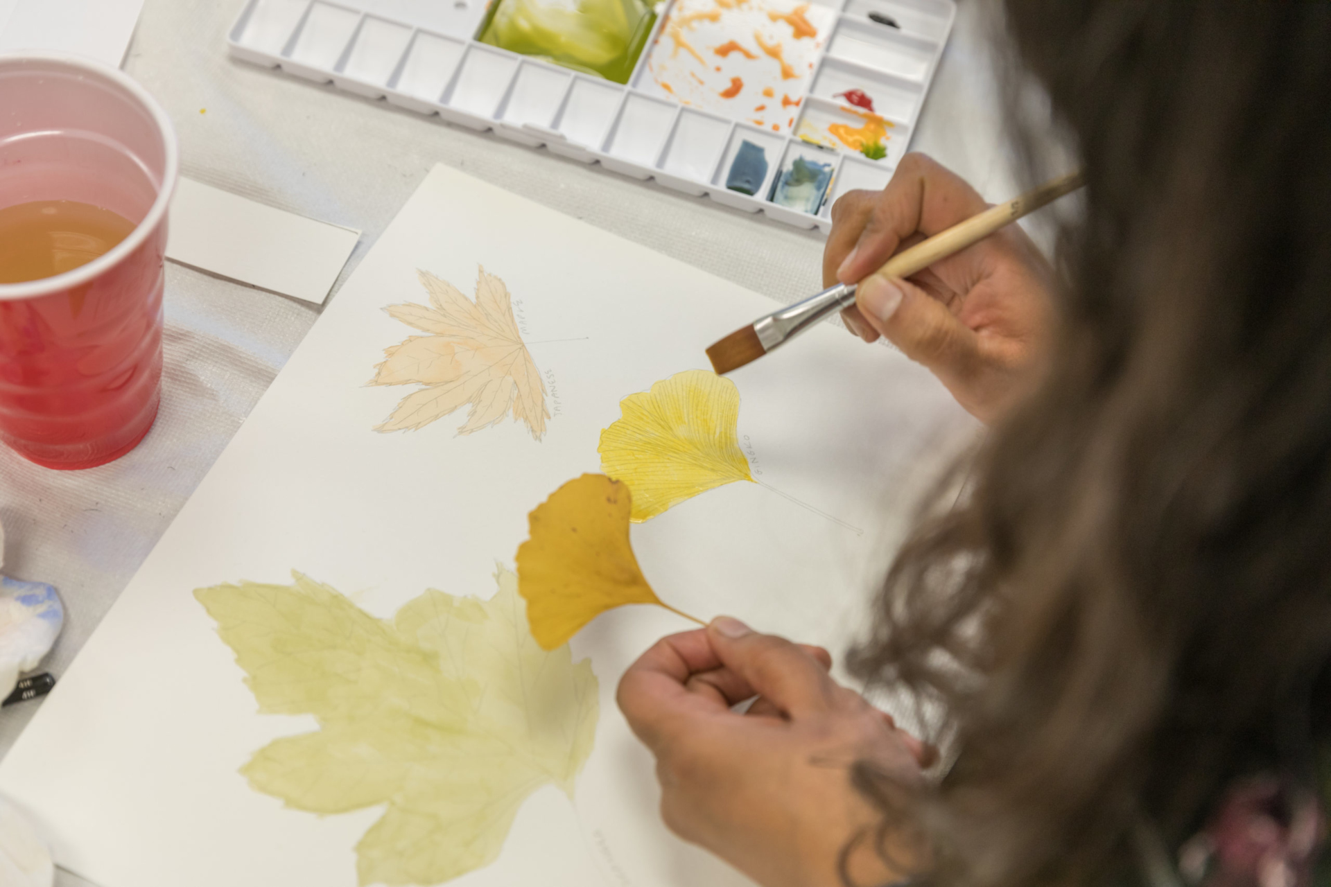 Painting a fall leaf in watercolor