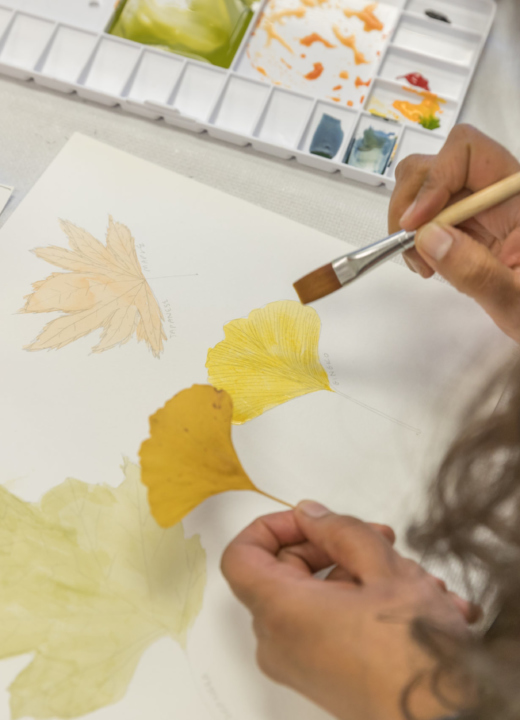 Painting a fall leaf in watercolor