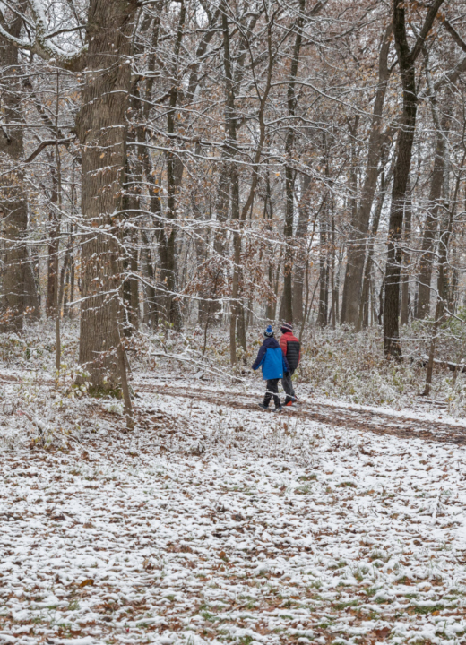 The Morton Arboretum