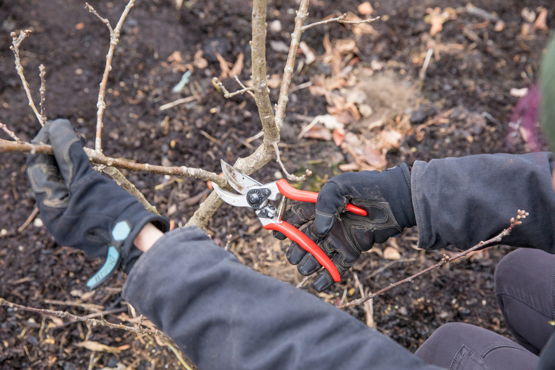 Structural pruning class