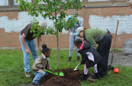 Volunteers working with children to plant trees