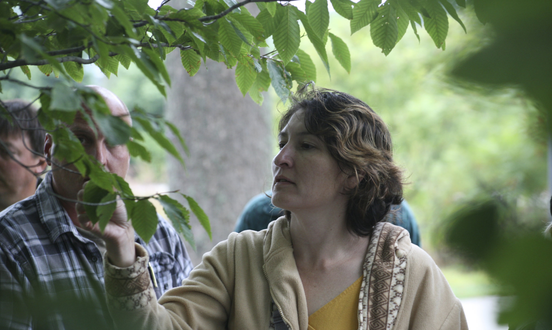 A woman observing the leaves of a tree in an outdoor class.