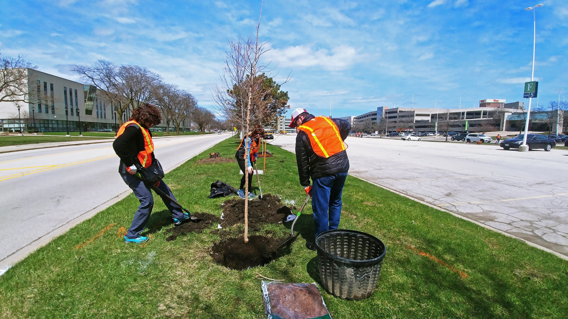 A group plants trees in an industrial area
