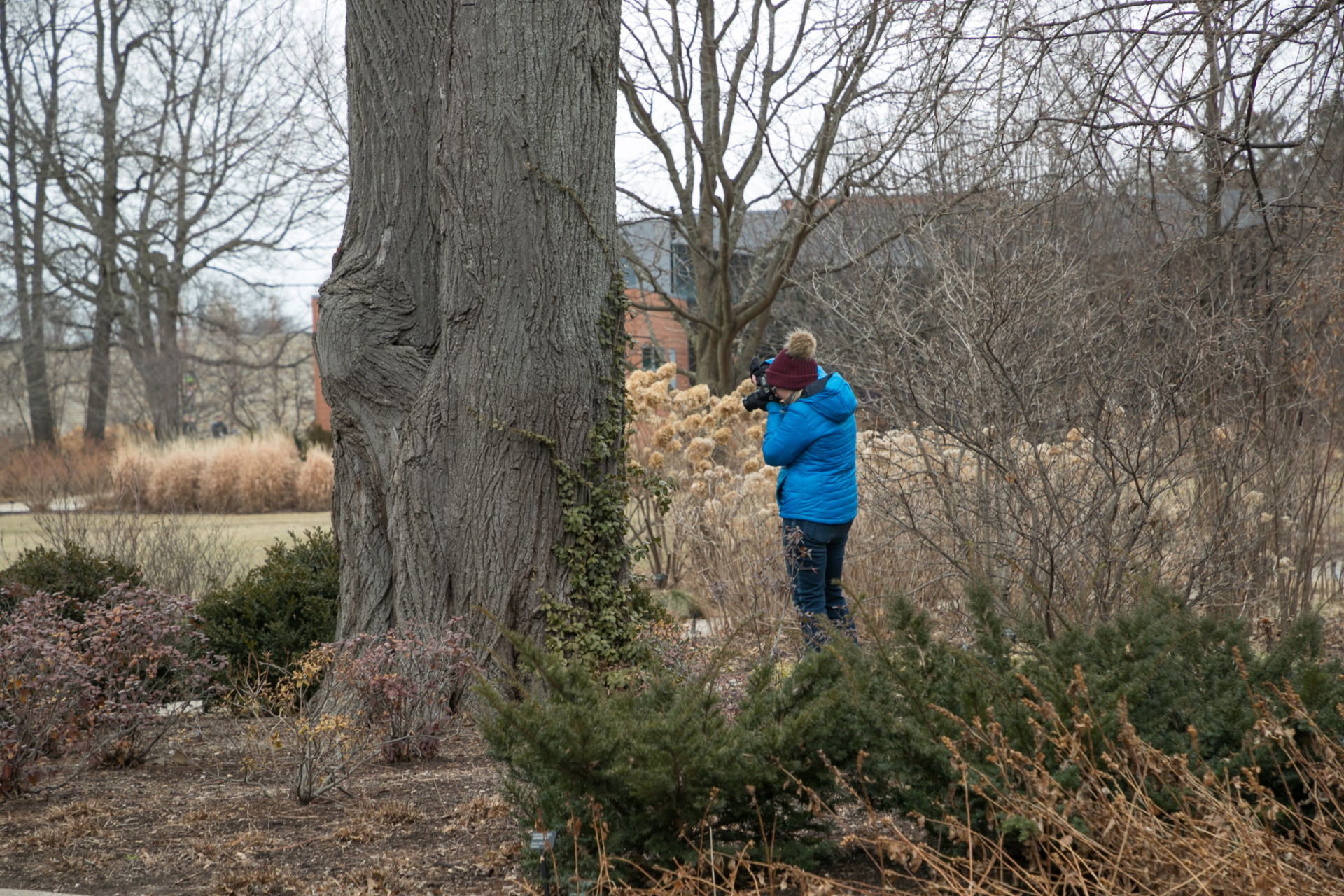 A woman photographing a tree in a basic nature photography class.