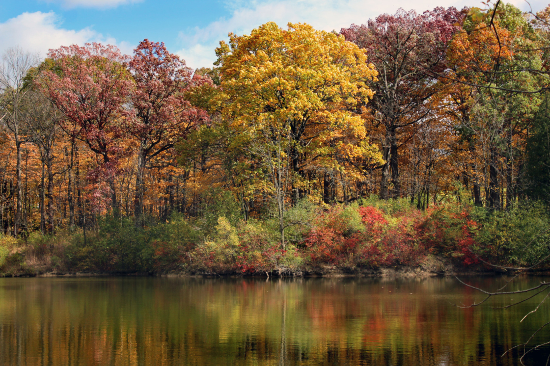 View of Sterling Pond in fall
