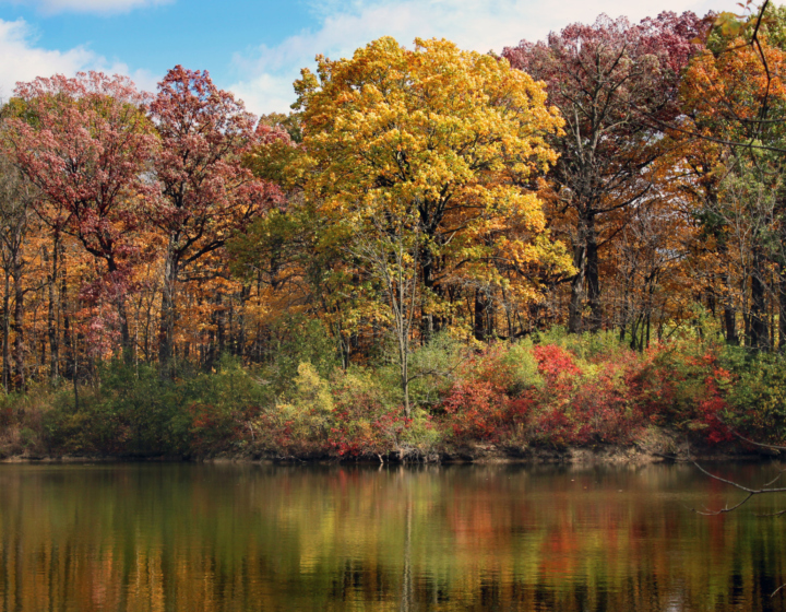 View of Sterling Pond in fall