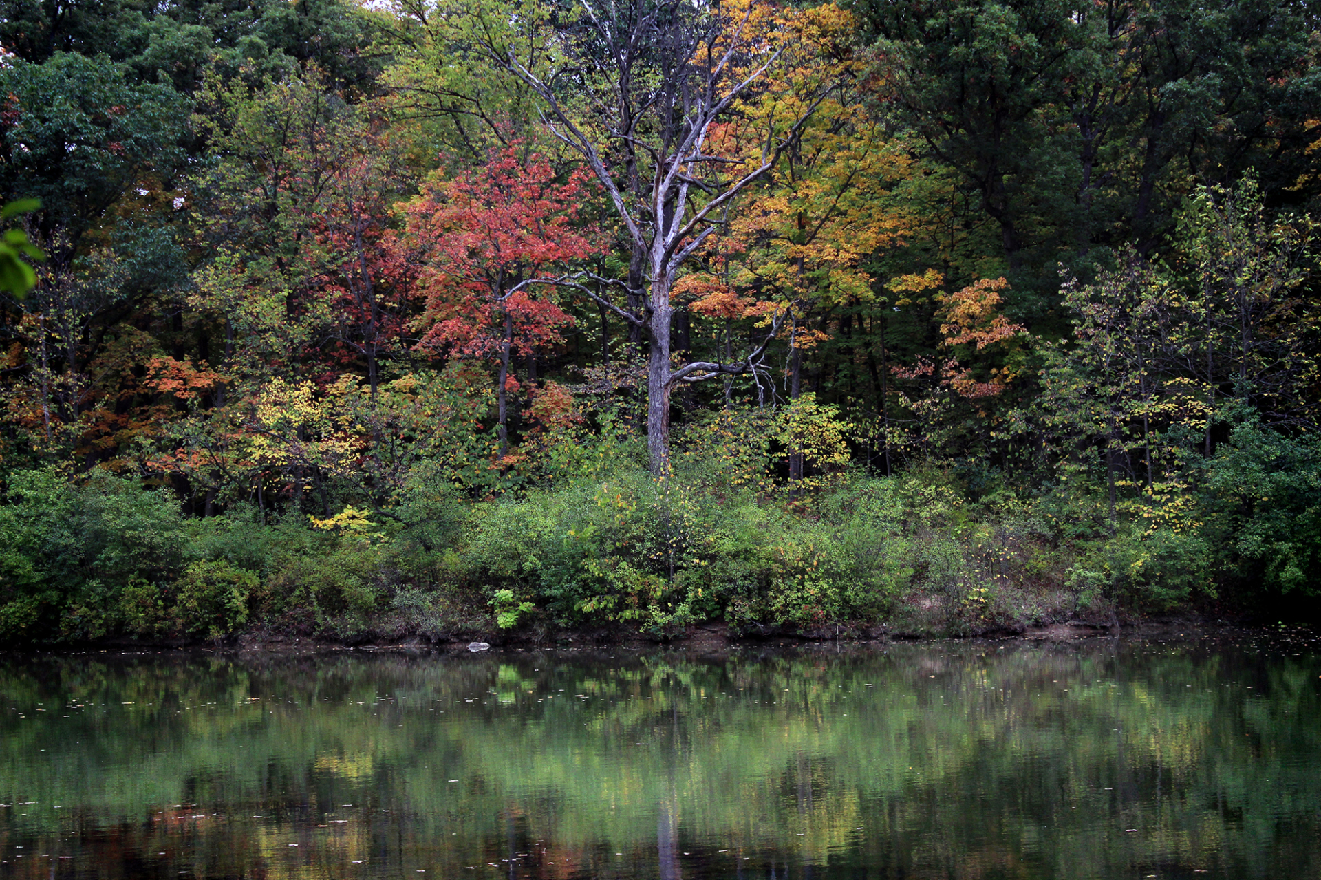 Fall Color at Sterling Pond