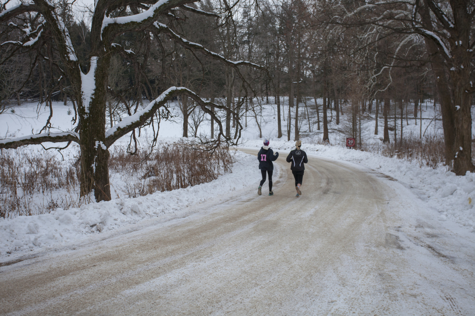 Winter Runners participate in Pine Pacer challenge at The Morton Arboretum