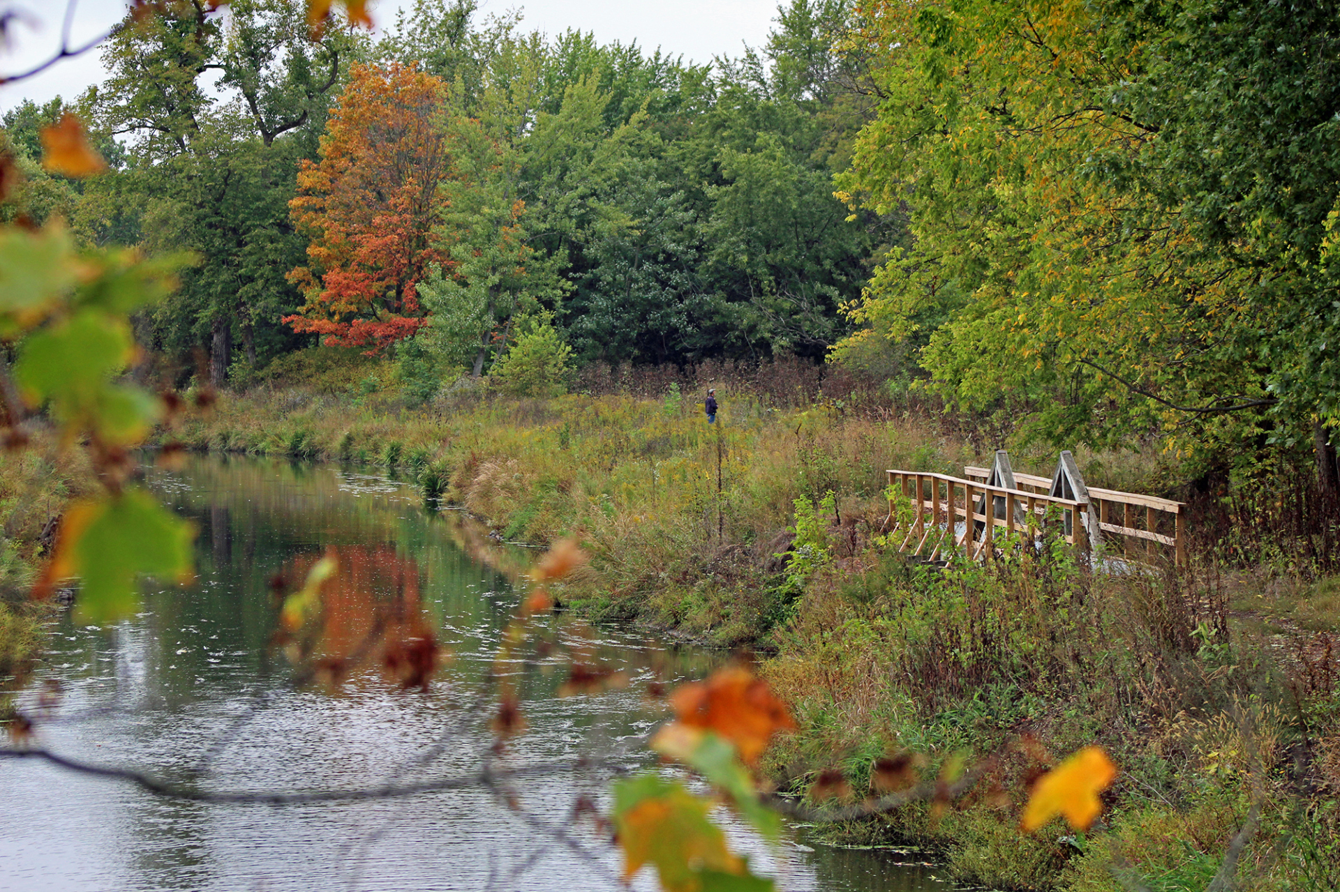 Fall Color along the DuPage River
