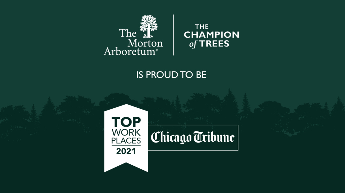The Morton Arboretum is proud to be a top workplace by Chicago Tribune