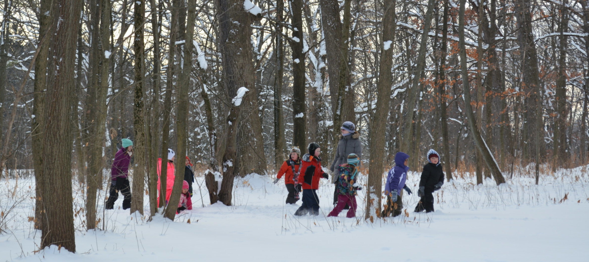 A group of children hike through the woods in the snow with arboretum instructors.